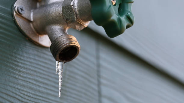 Best Shower Repair Services  in Cottonwood Shores, TX